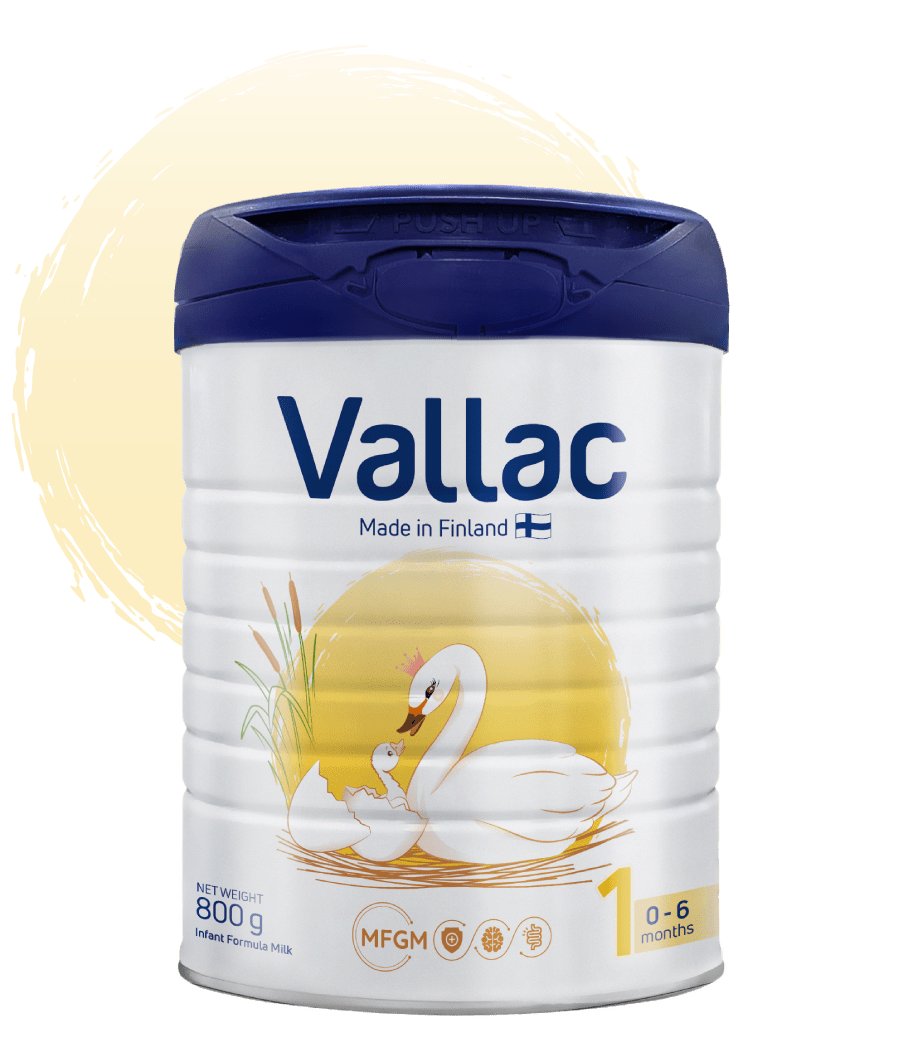 Vallac 1