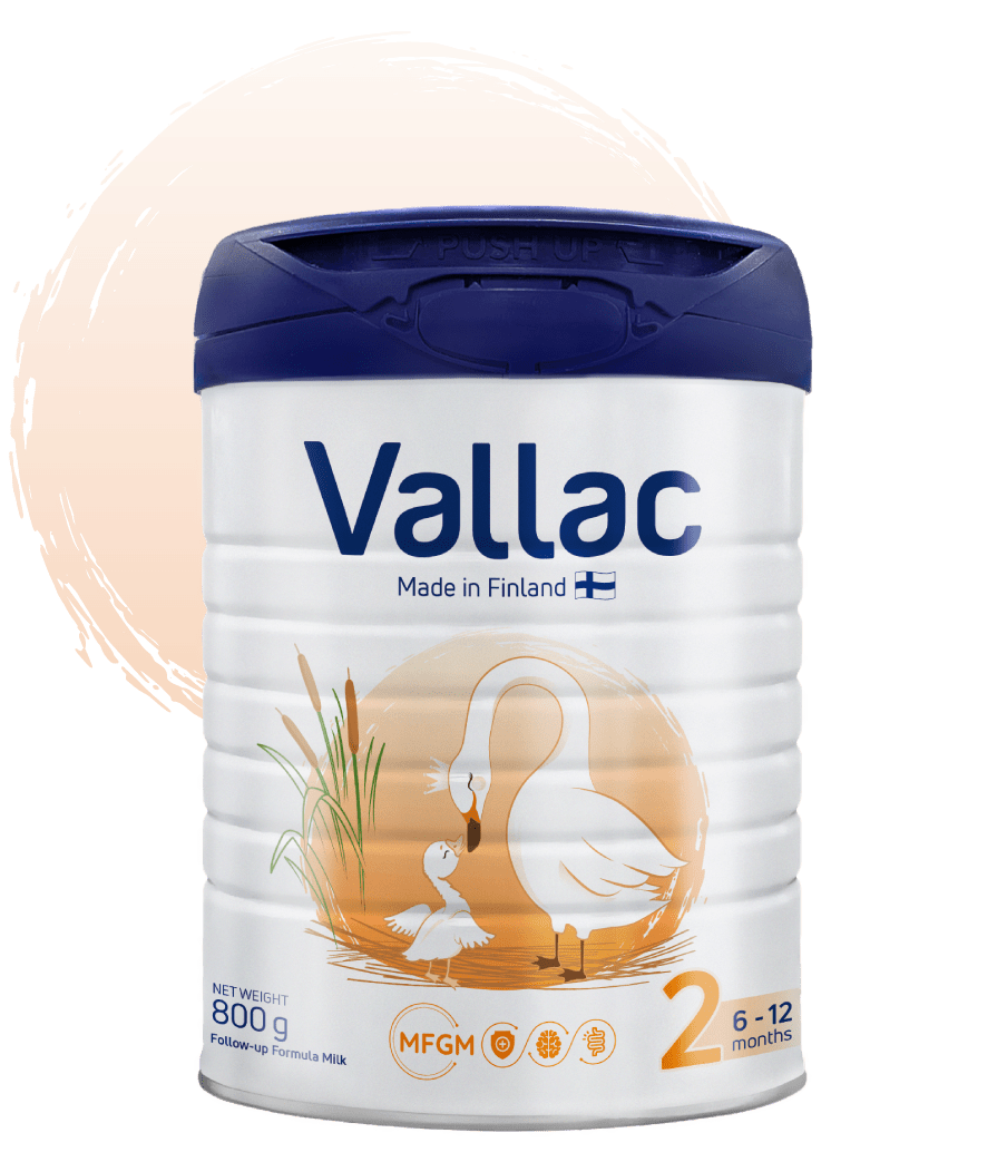 Vallac 2