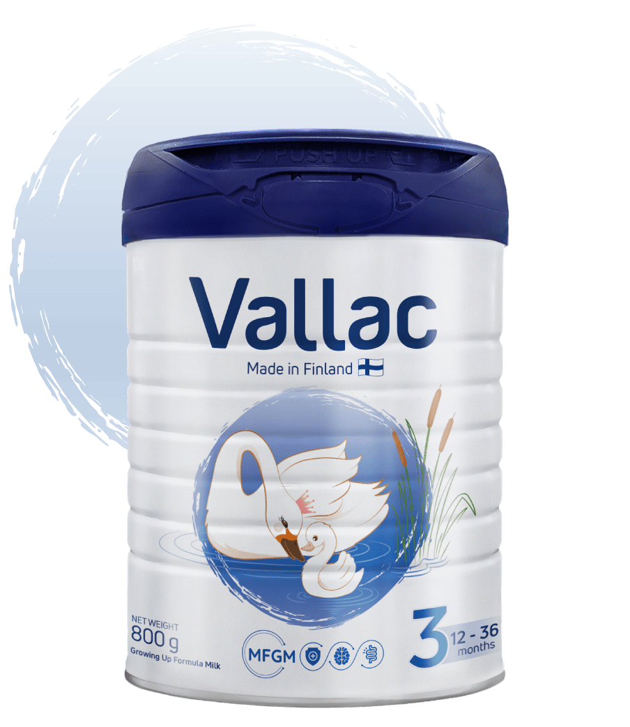 Vallac 3